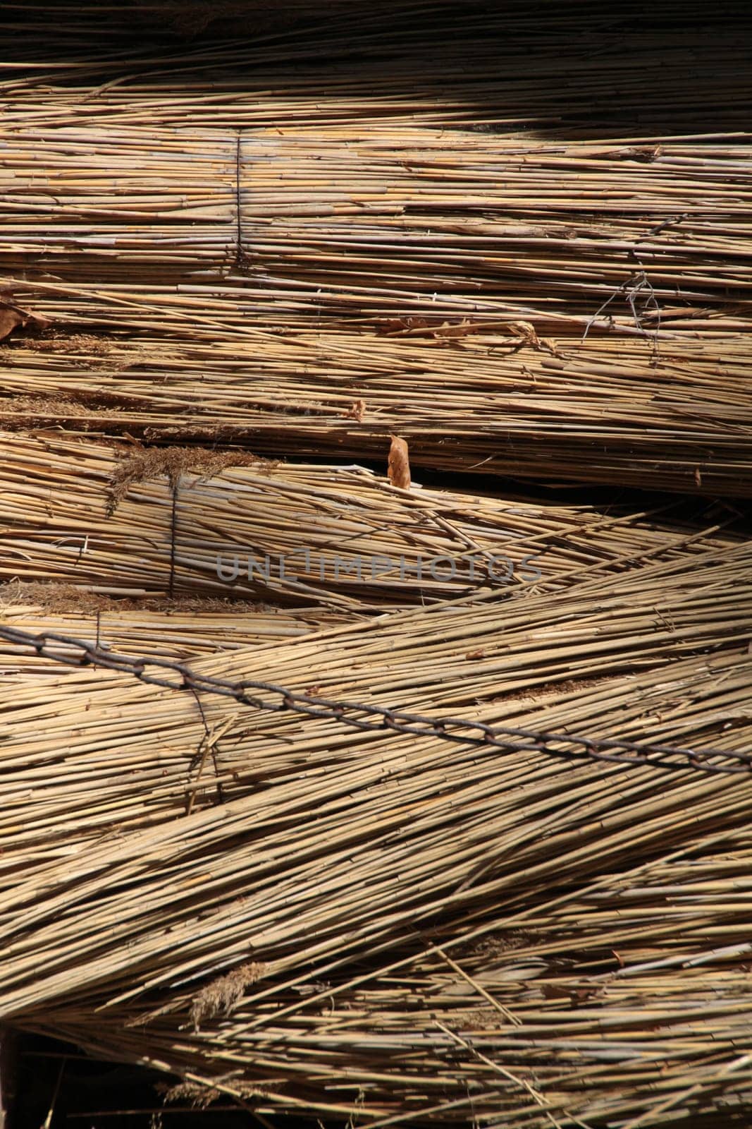 Bundles of thatch