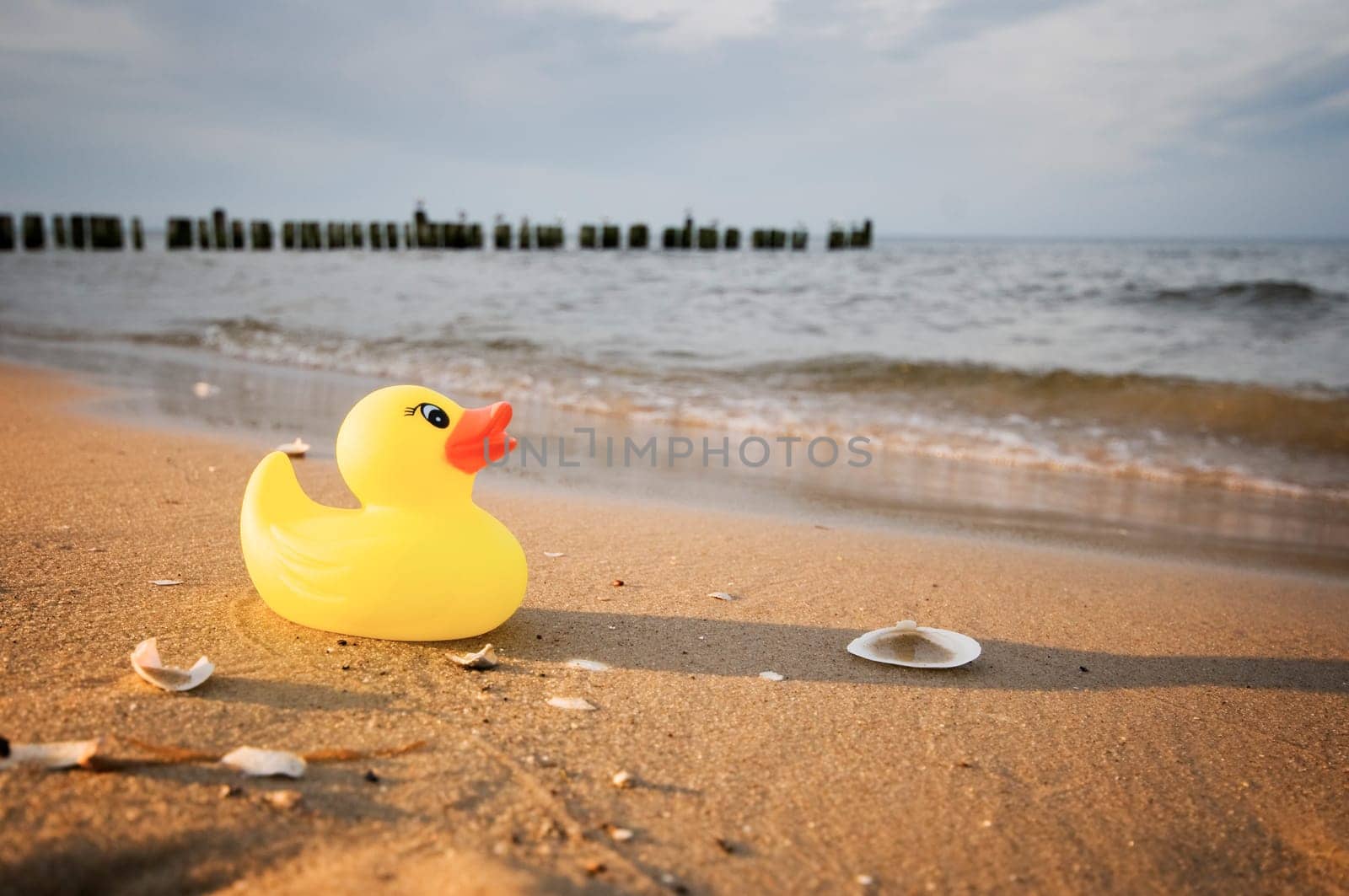 Wide-angle close-up of a yellow rubber duck on the sandy beach of Bansin / Usedom / Germany in the light of the setting sun