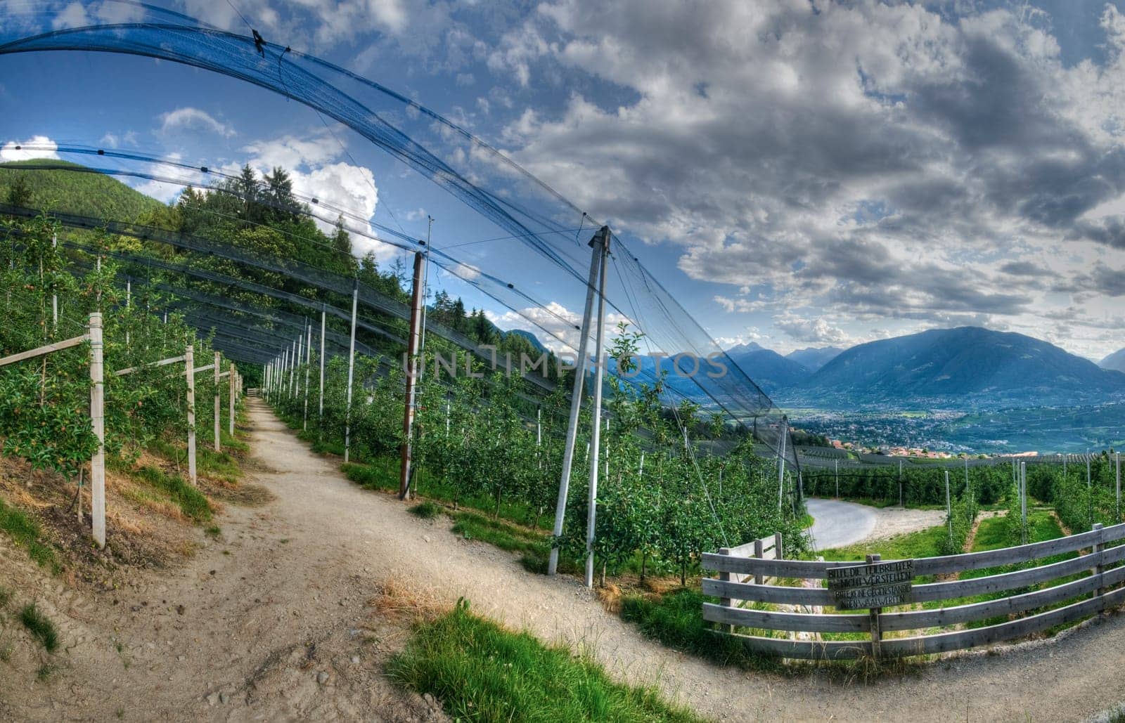 Panoramic view from above the village of Scena / South Tyrol from an apple orchard in the direction of the Merano Valley in summer 2013