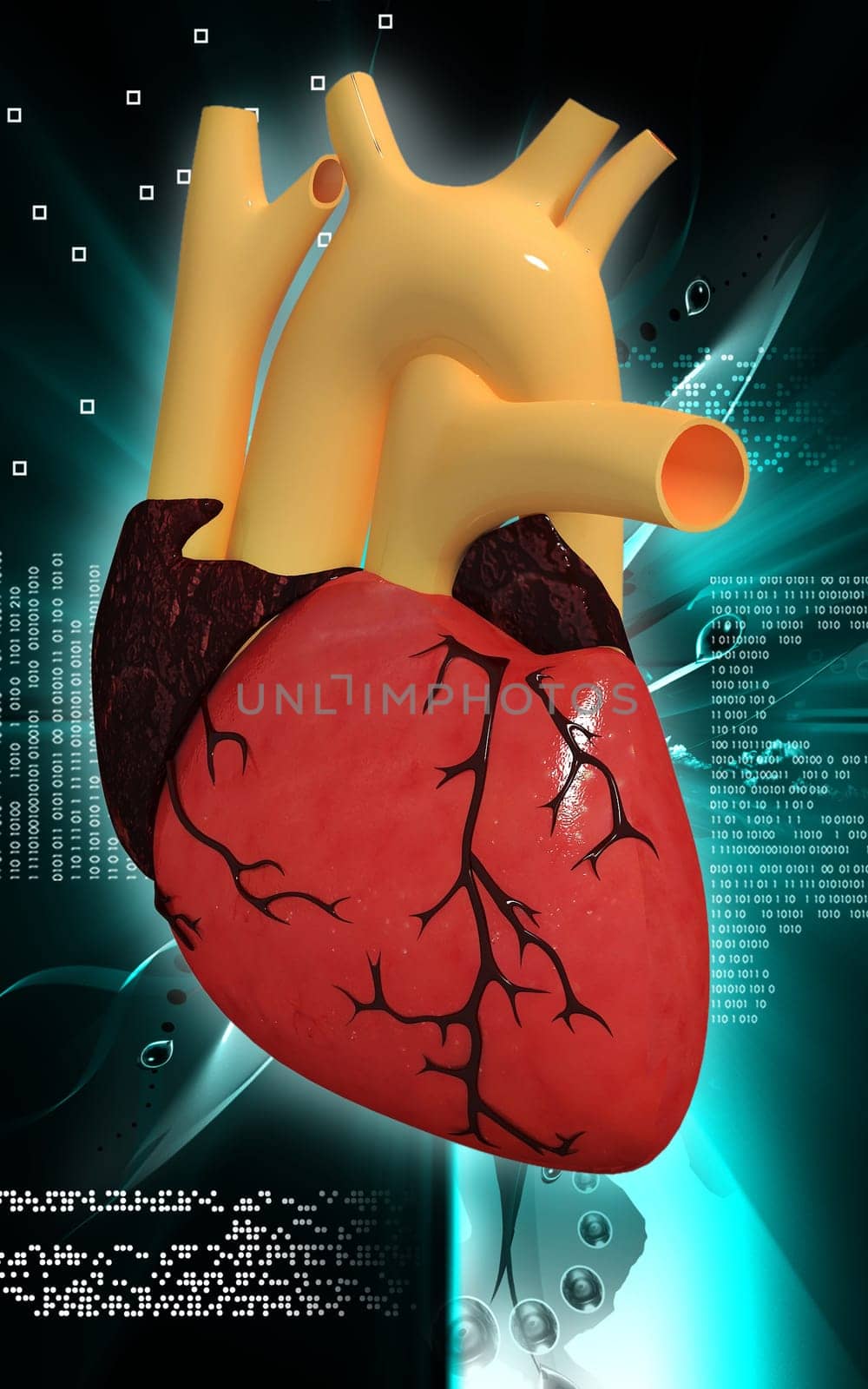Digital illustration of heart in colour background