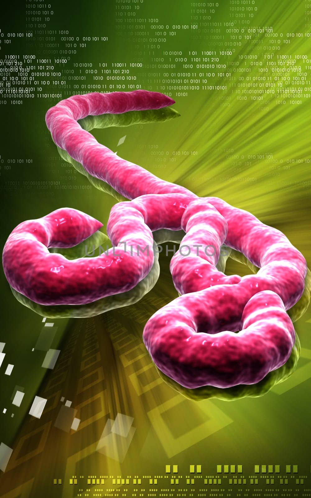 Digital illustration of Ebola virus in colour background
