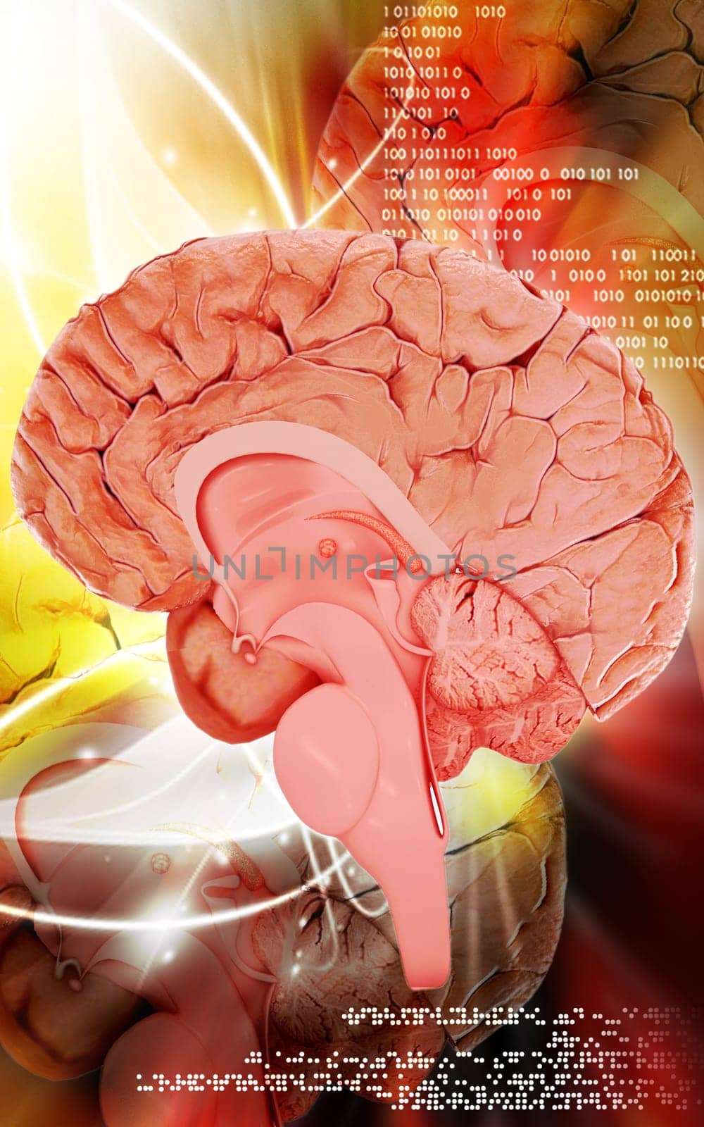 Digital illustration of brain in colour background