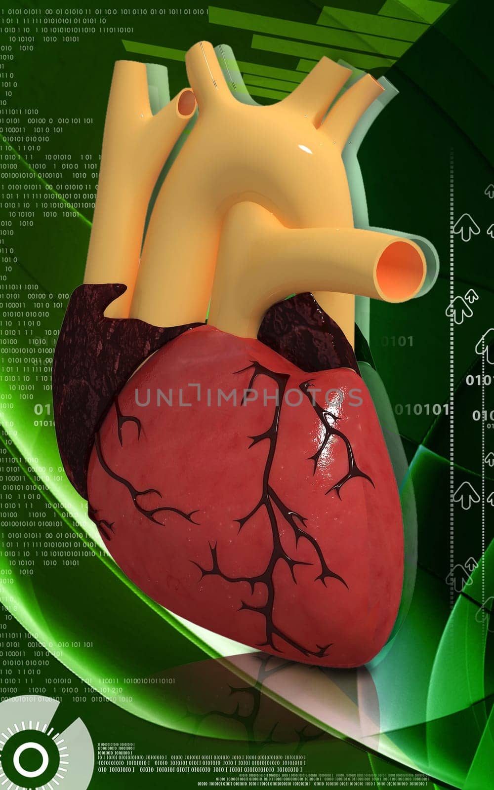 Digital illustration of heart in colour background