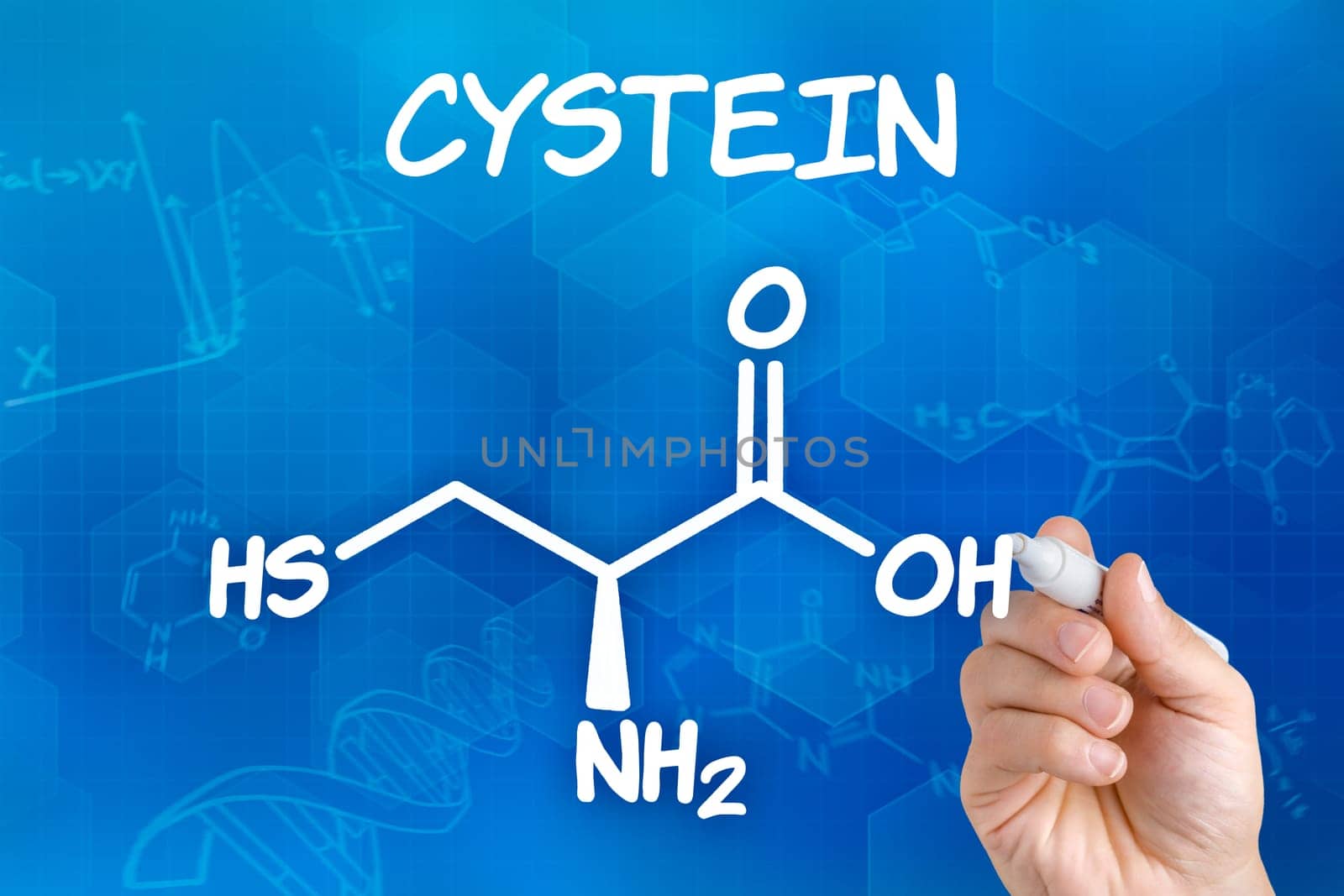 Hand draws chemical structural formula of cysteine