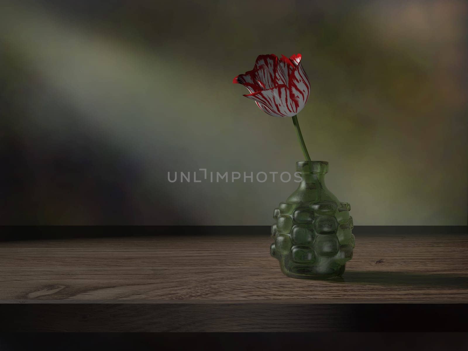 Still life of a red and white tulip in an antique bottle