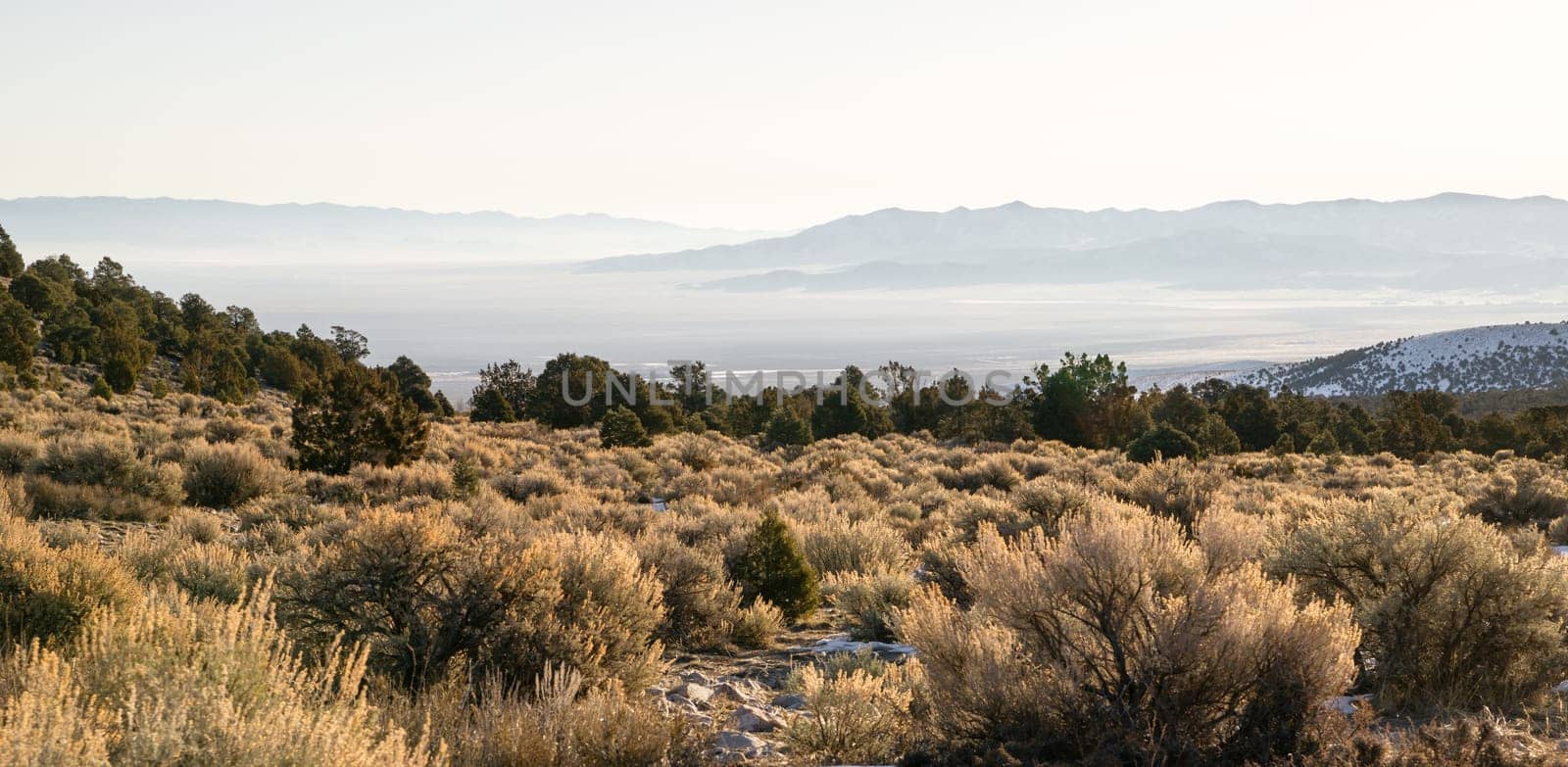 Late Day Sun Gets hot Down in the Basin