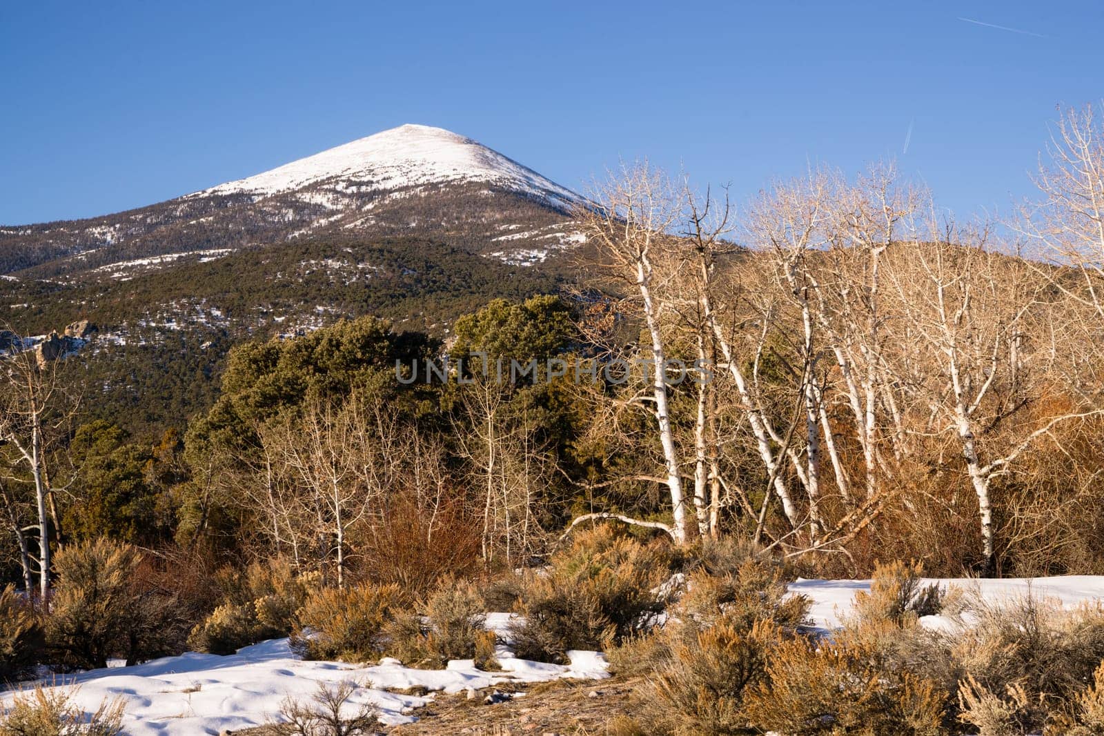 Winter landscape in Great Basin National Park