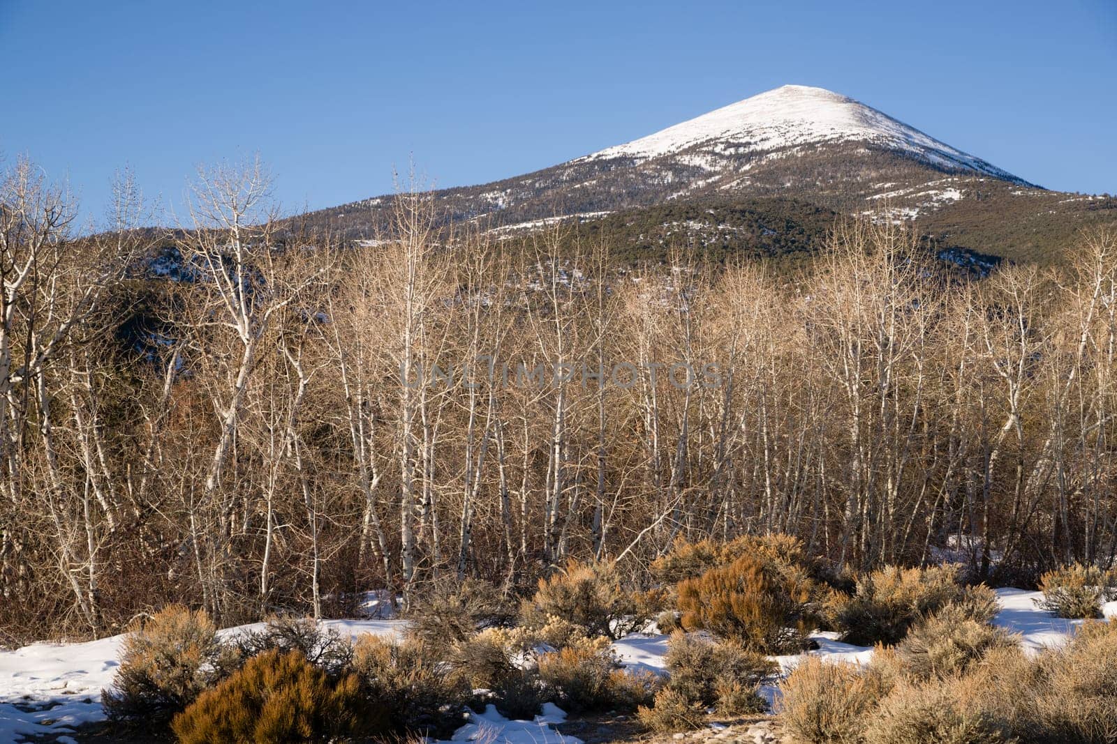 Winter landscape in Great Basin National Park