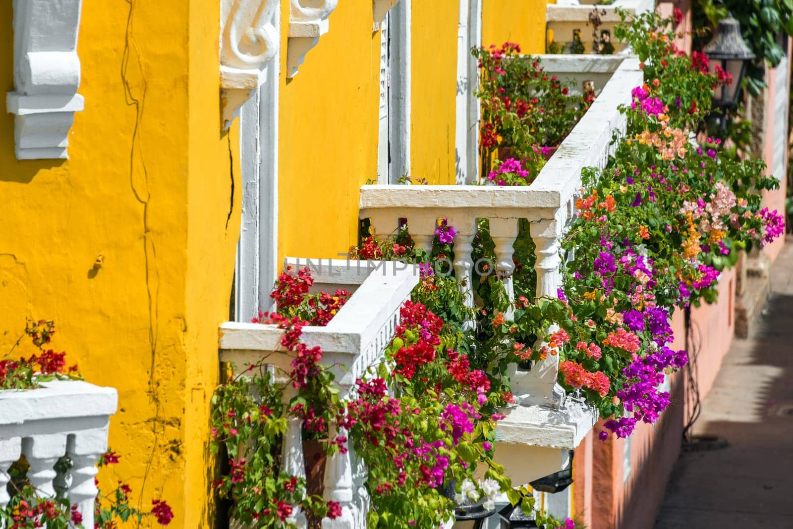 Yellow and white balconies covered in vibrant bougainvillea flowers in Cartagena, Colombia