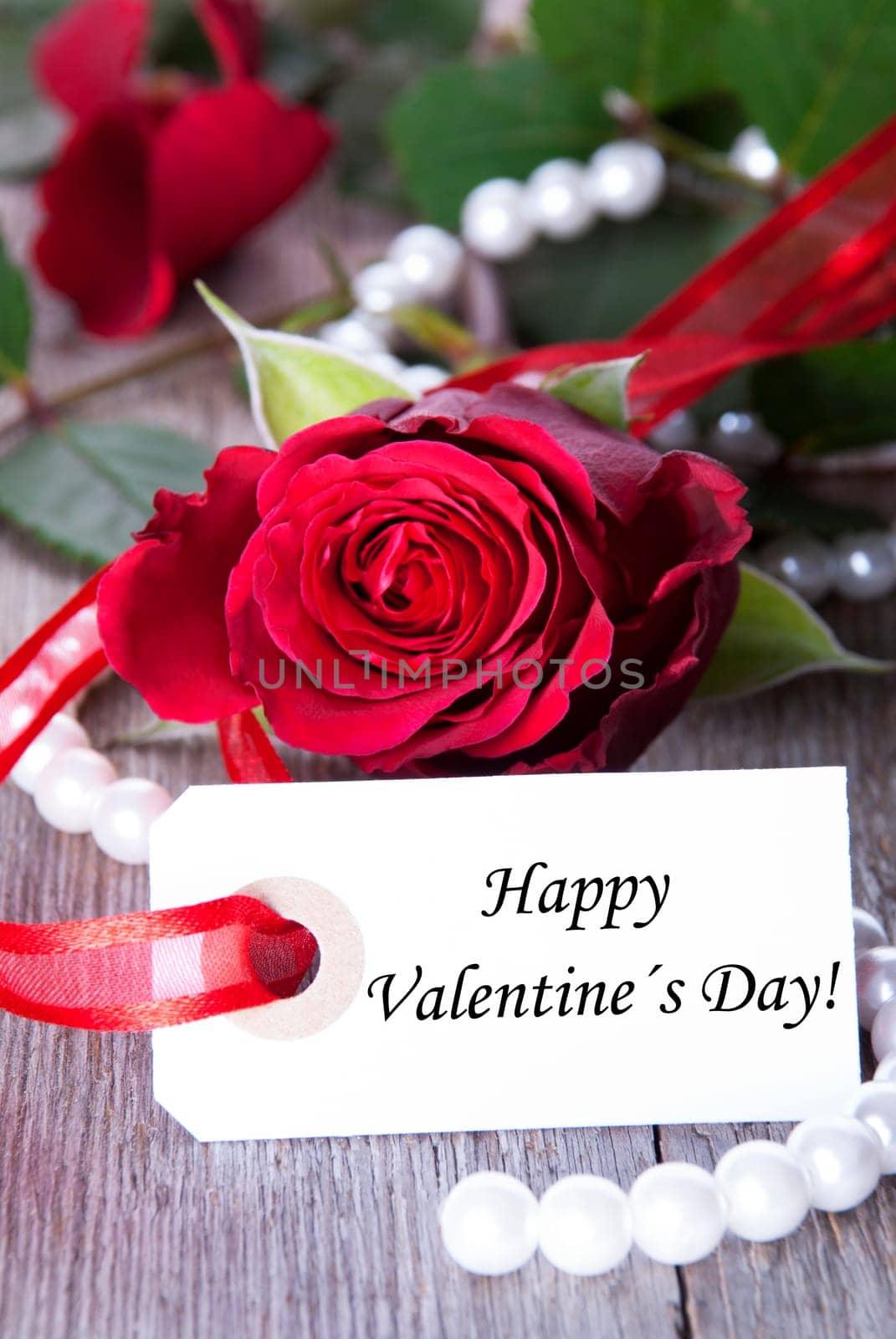 Valentines Background with red Roses and white Label with Happy Valentines Day on it