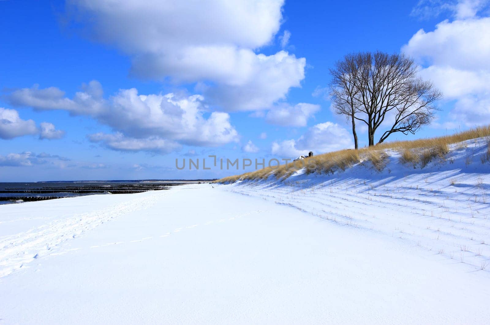 Beach near Ahrenshoop in winter,Baltic Sea,Mecklenburg-Vorpommern,Germany