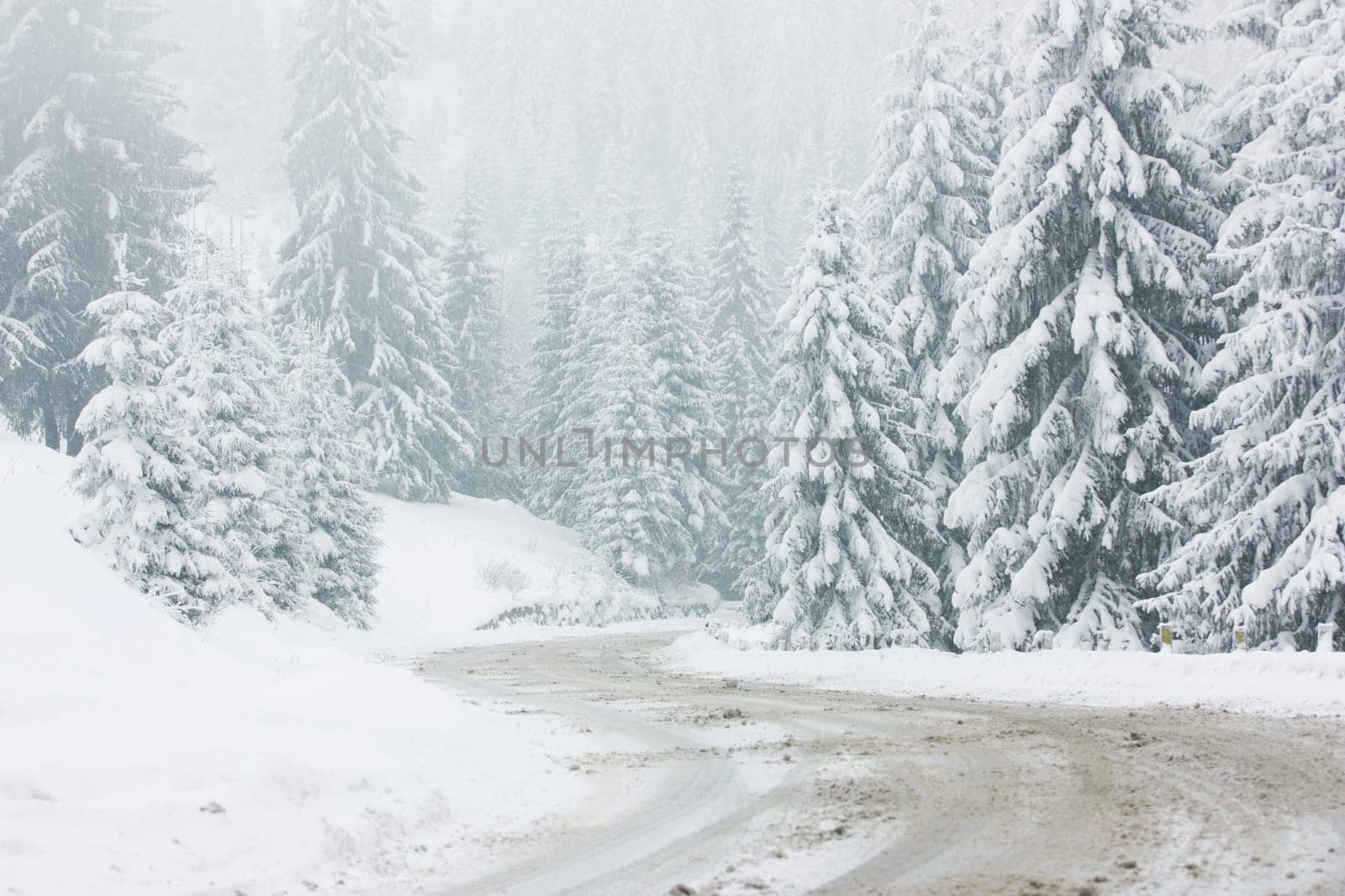 Snow covered winter road