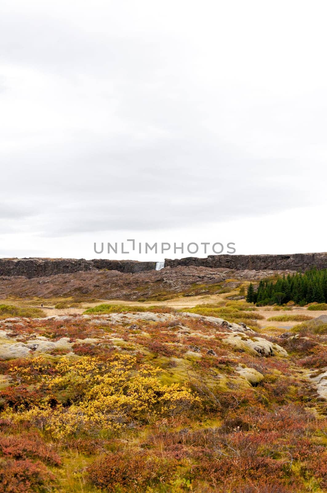 Thingvellir national park, Iceland