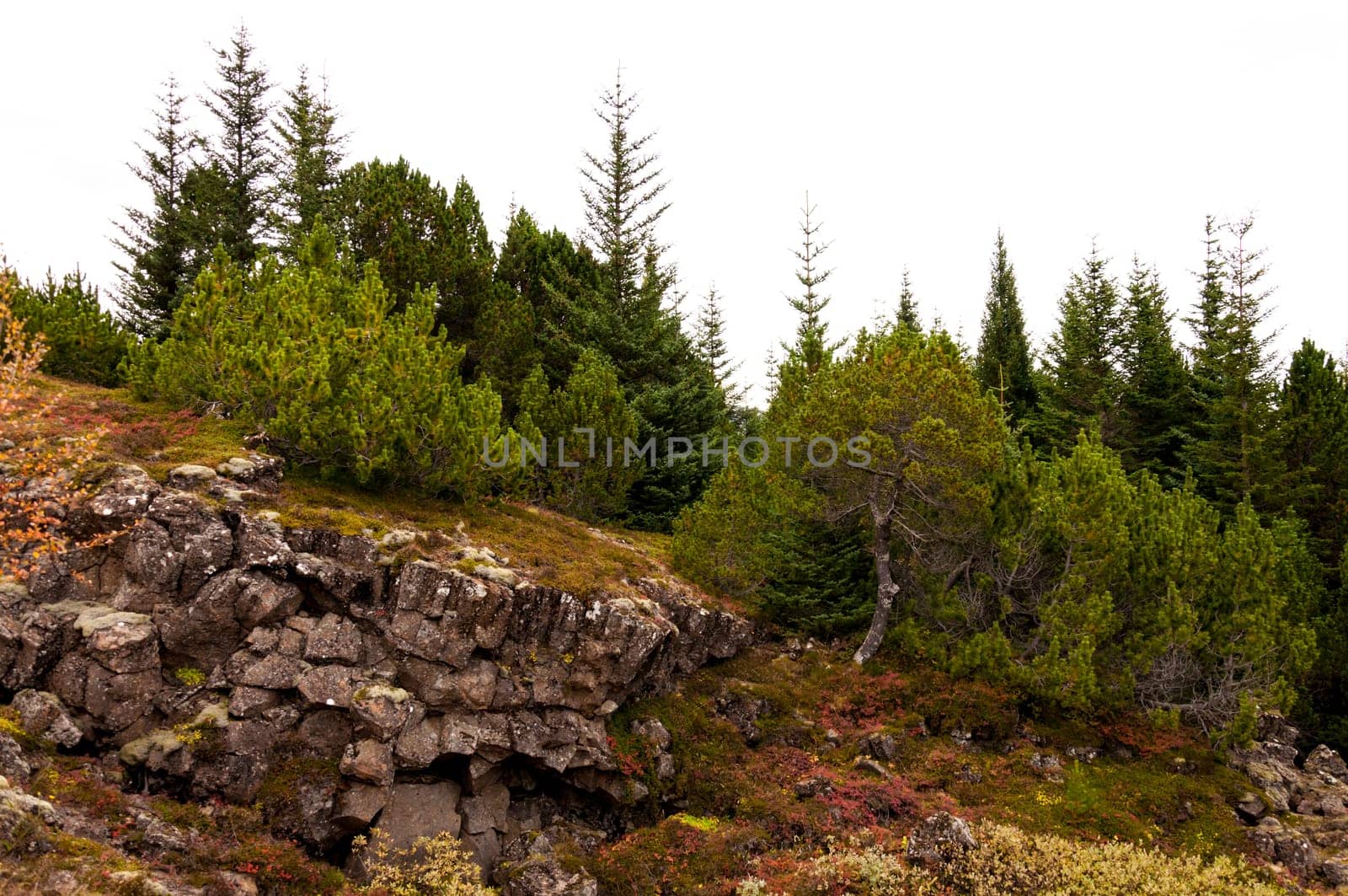 Thingvellir national park, Iceland