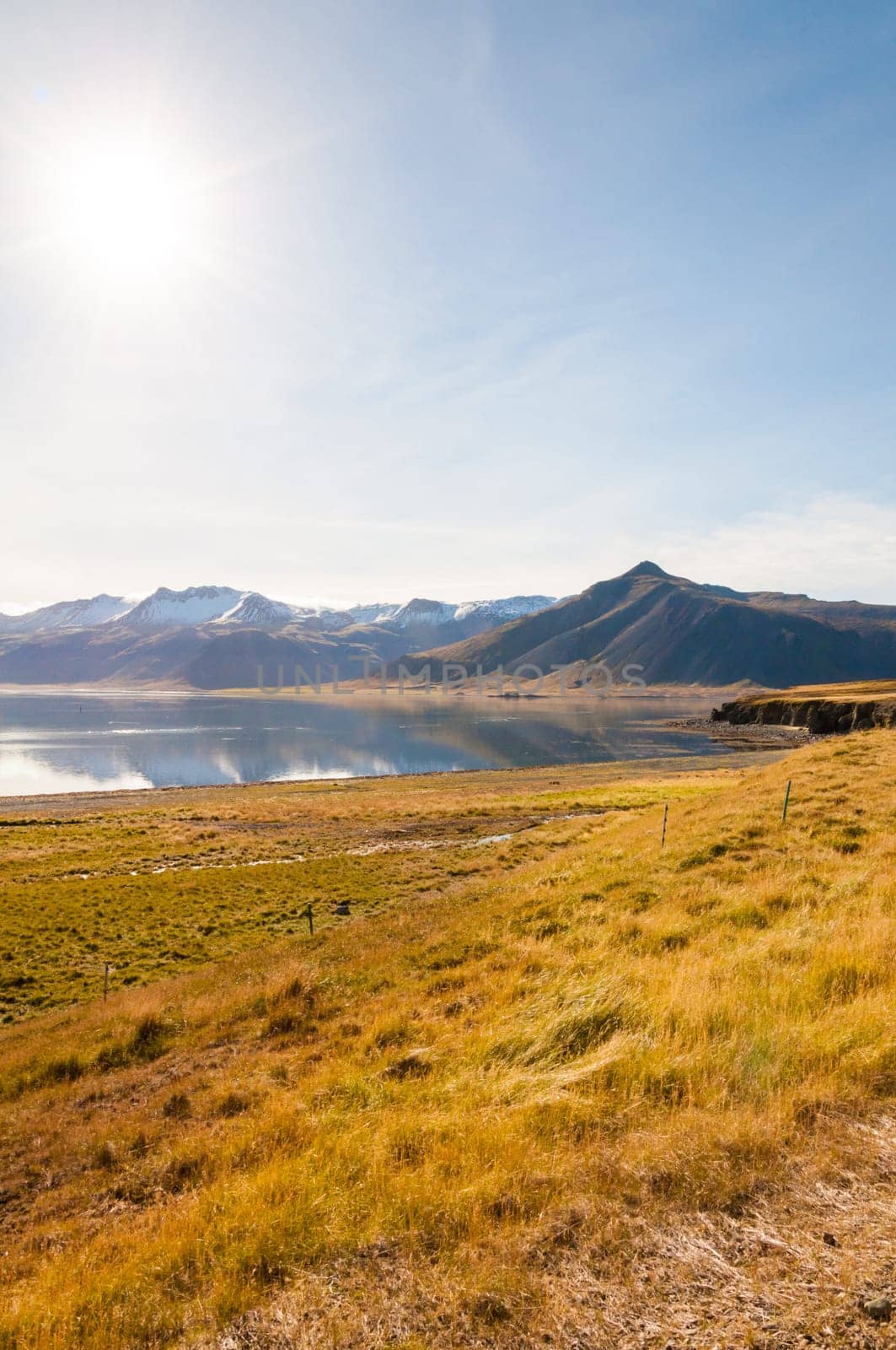 Icelandic landscape with volcanic rocks and green grass