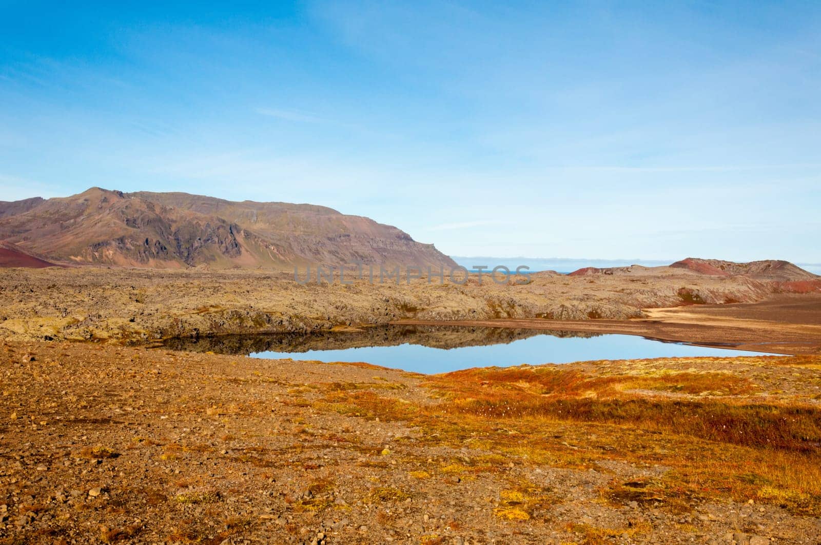 Icelandic landscape with volcanic rocks and green grass