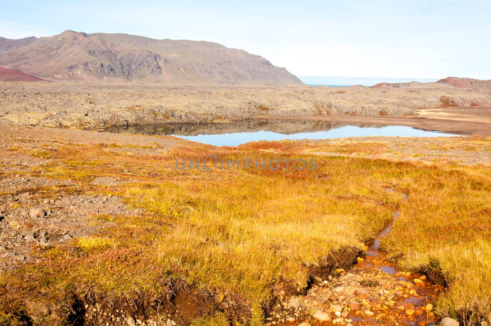 Icelandic landscape with volcanic rocks and green grass
