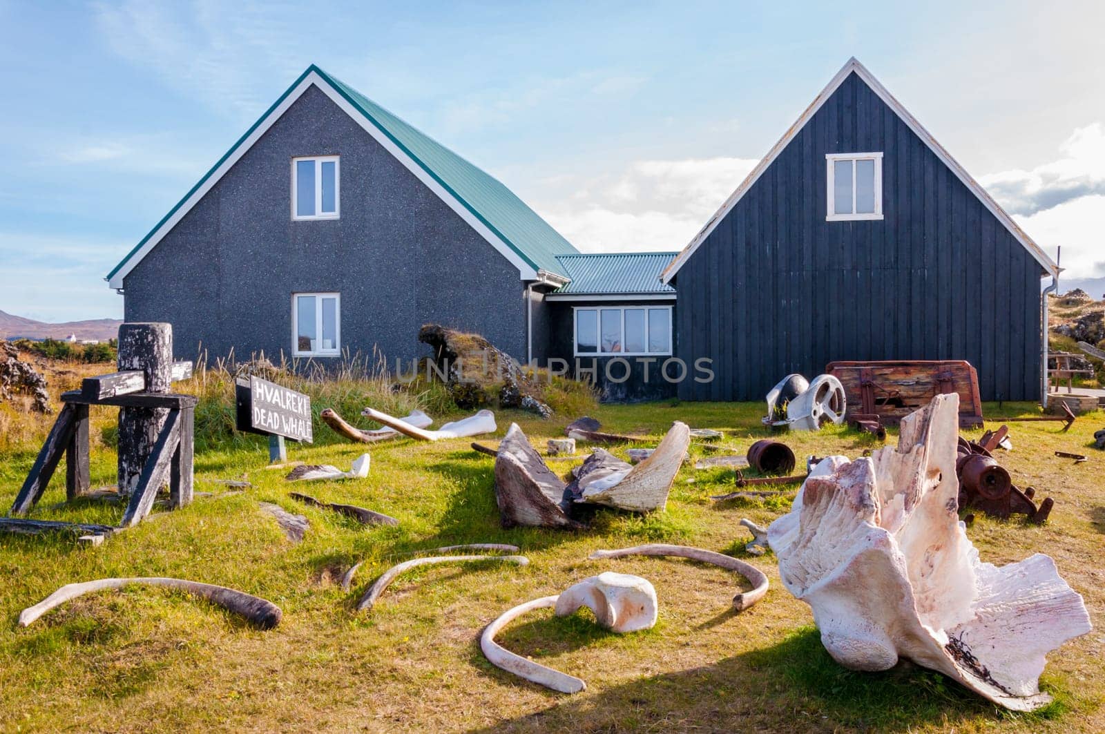 Whale bones in Djúpalónssandur museum, Iceland