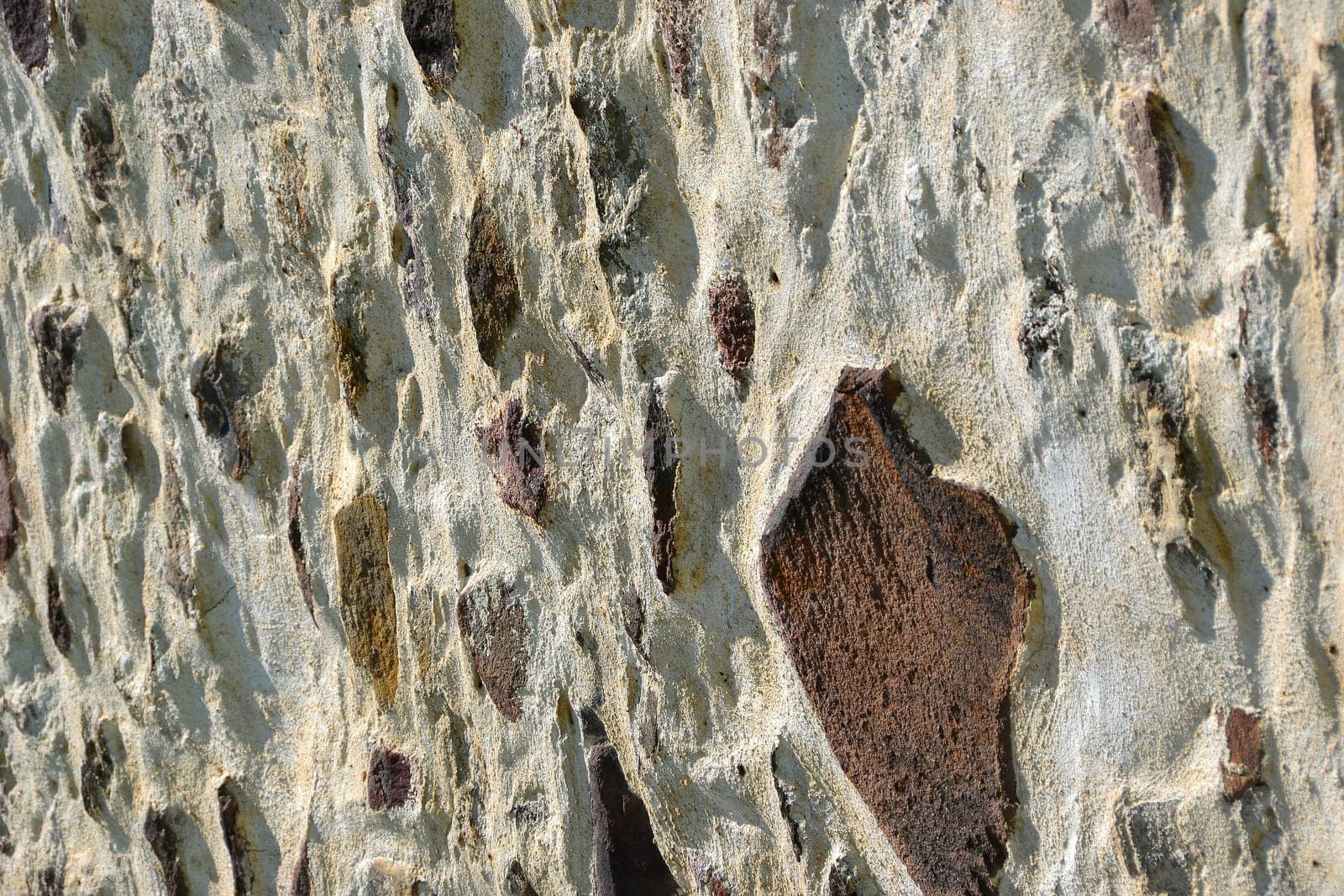 Wall
