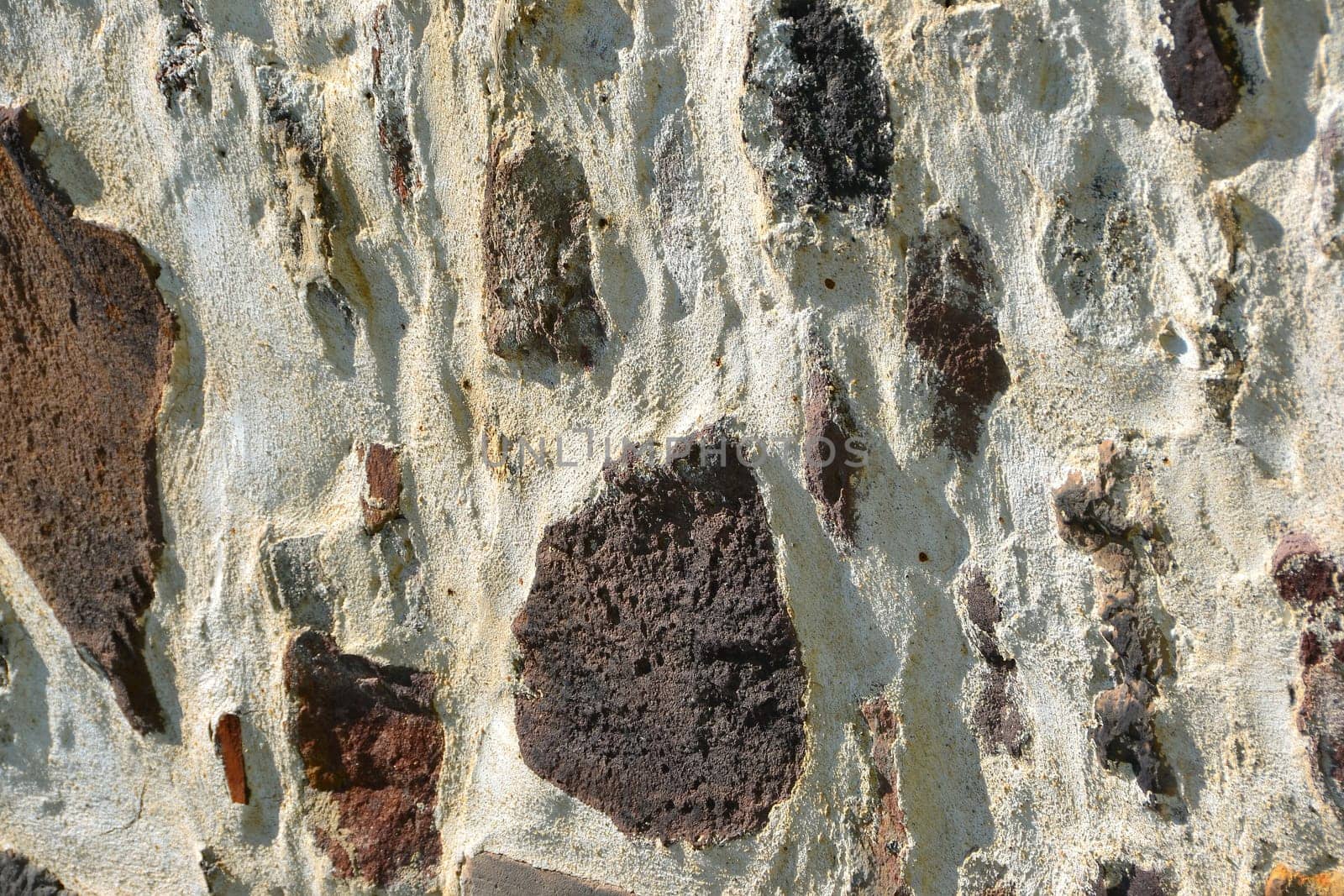Wall
