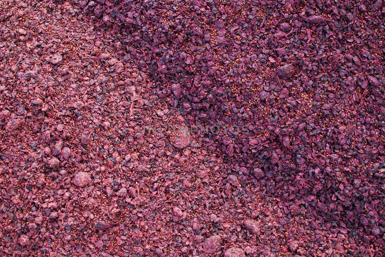 Grape pomace from pressing