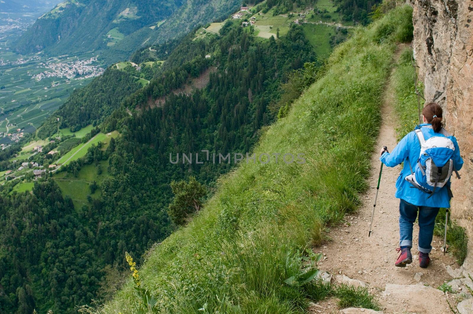 Landscape shot with Wandrerin on a narrow path on a steep slope in South Tyrol near the village of Dorf Tirol in summer