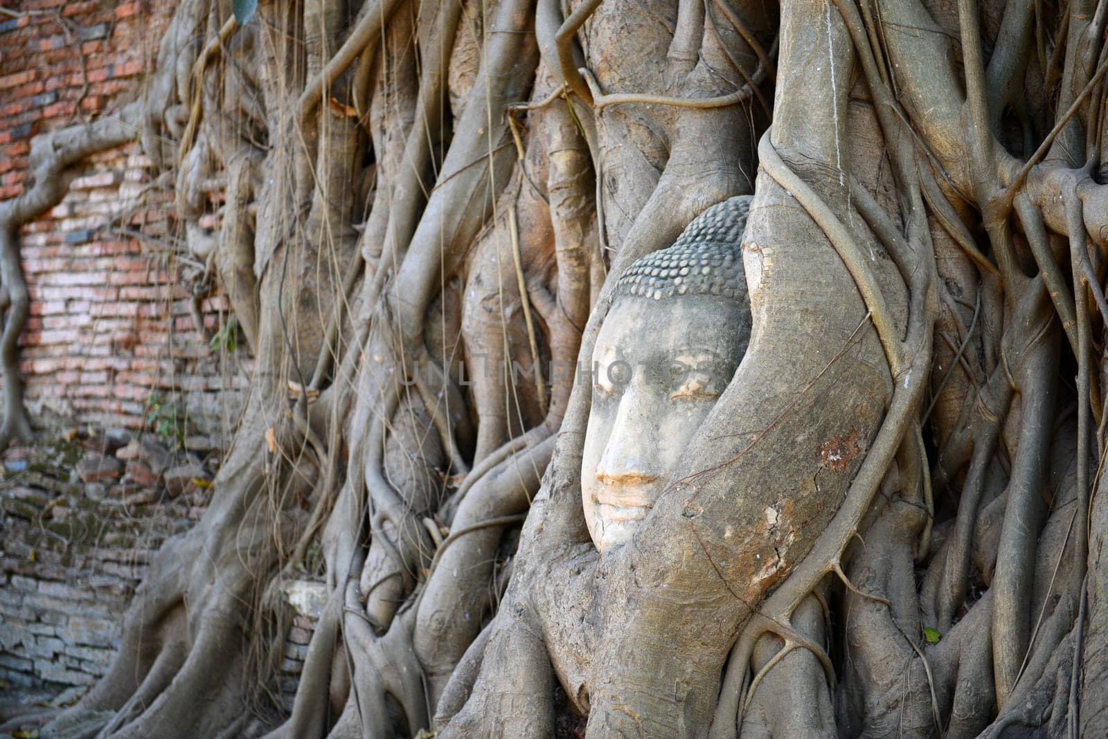 Buddha Head Surrounded by Roots in Ayutthaya