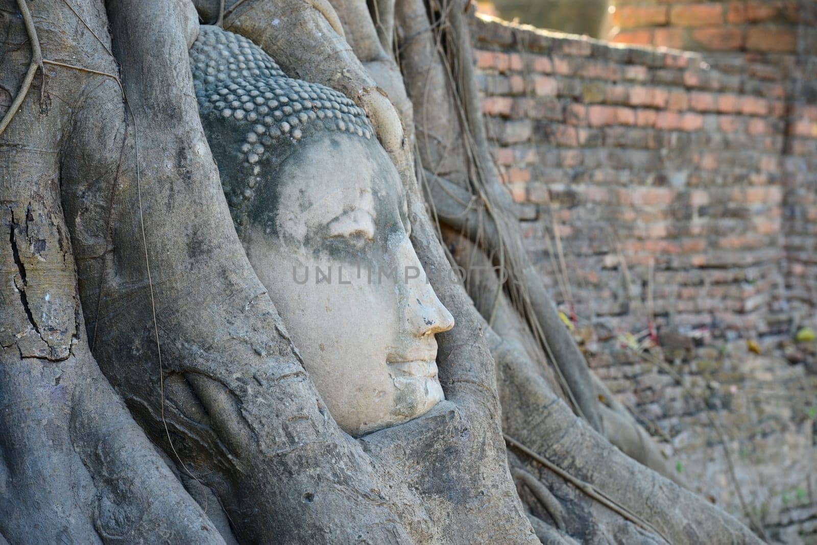 Buddha Head Surrounded by Roots in Ayutthaya