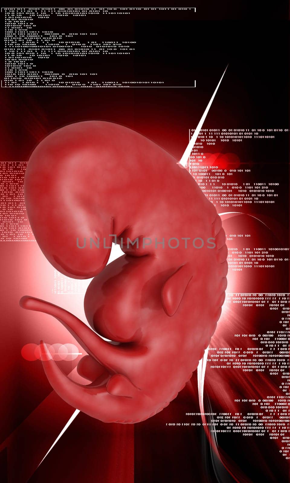 Digital illustration of Embryo in colour background