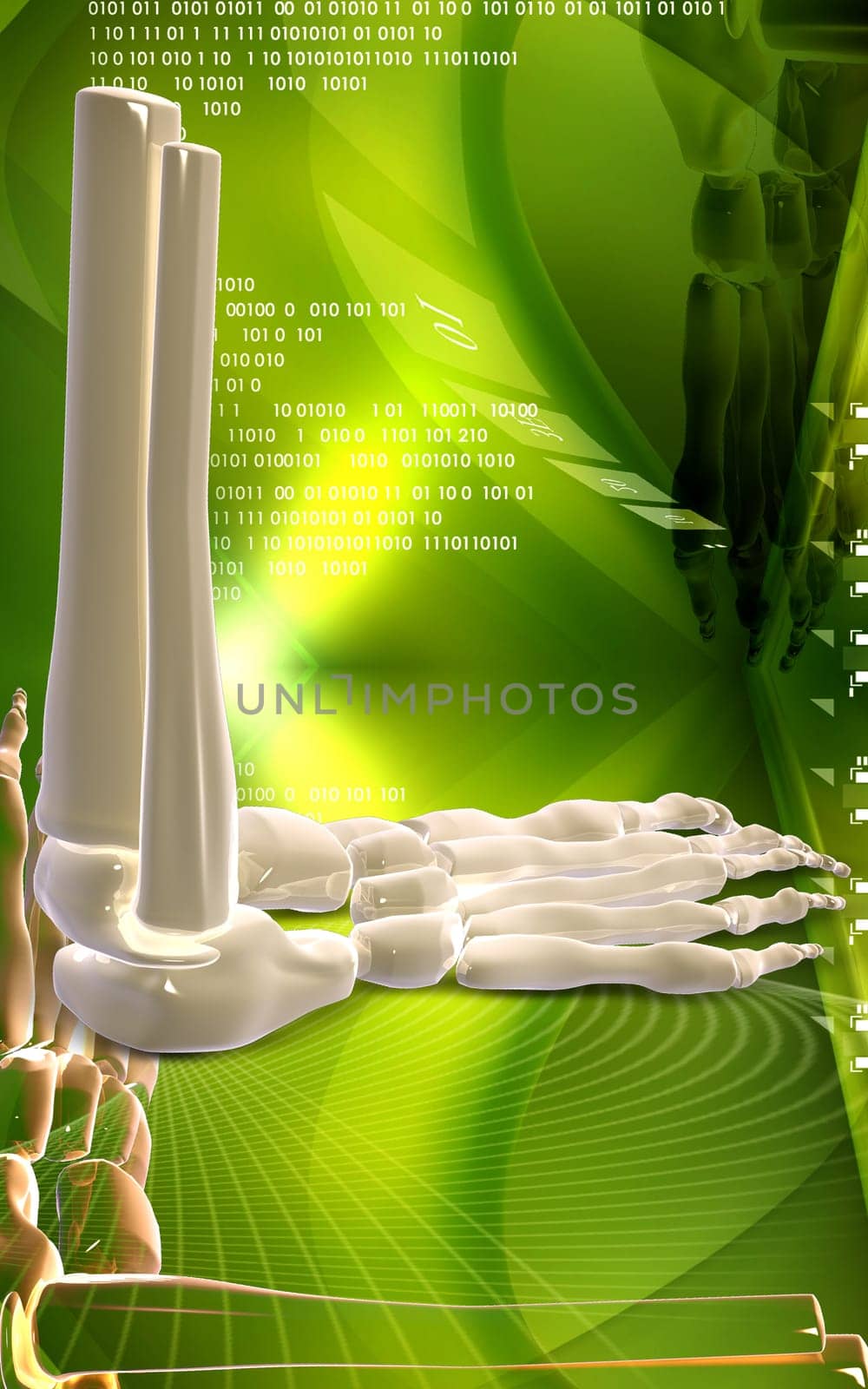 Digital illustration of Leg bone in colour background