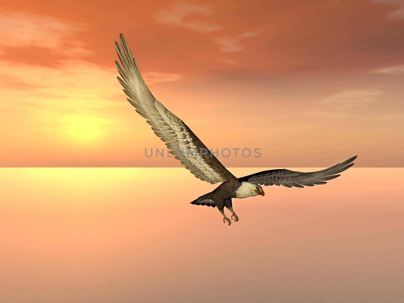 Computer-generated 3D illustration with a white-tailed eagle at a sunset