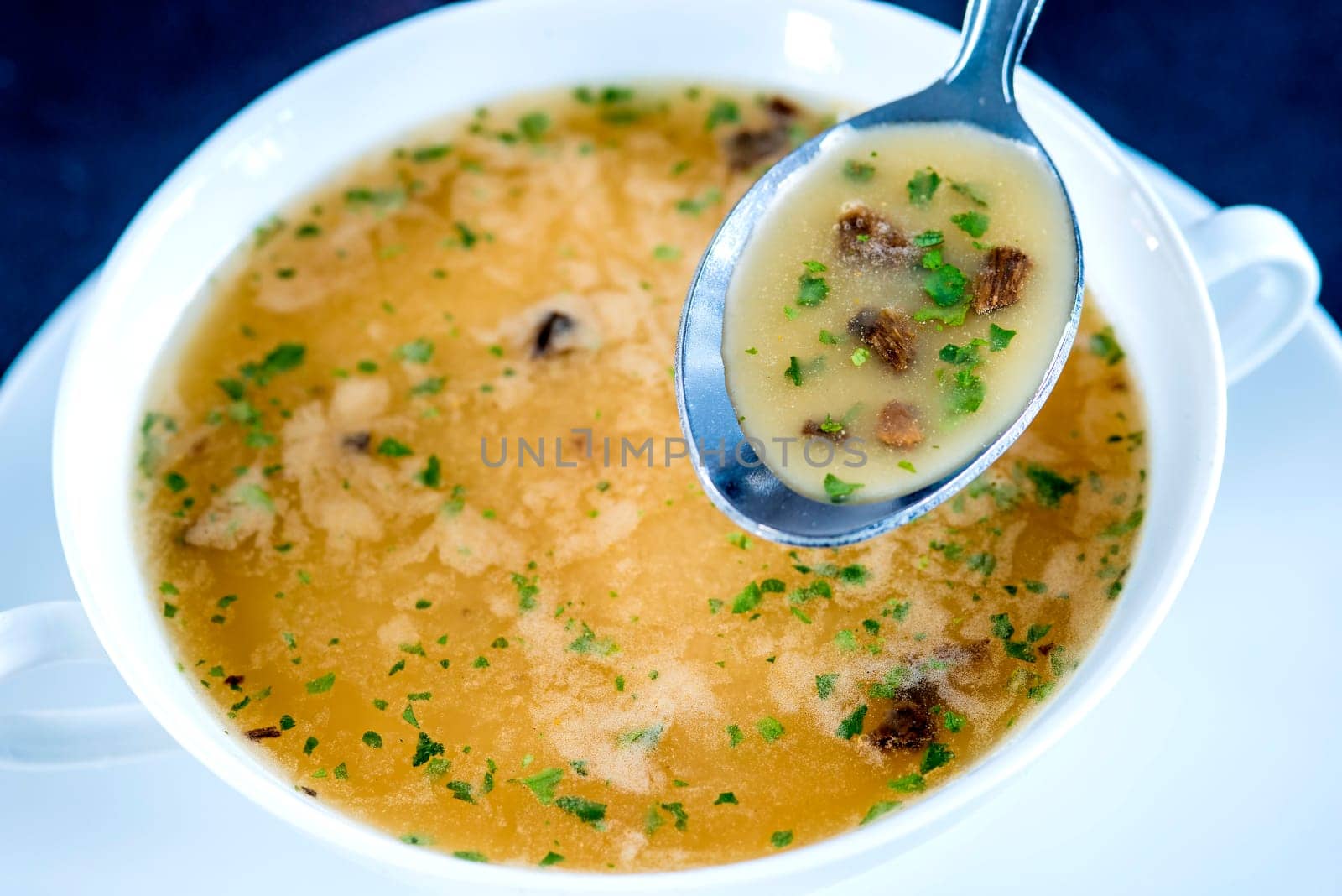 Forest Mushroom Cream Soup