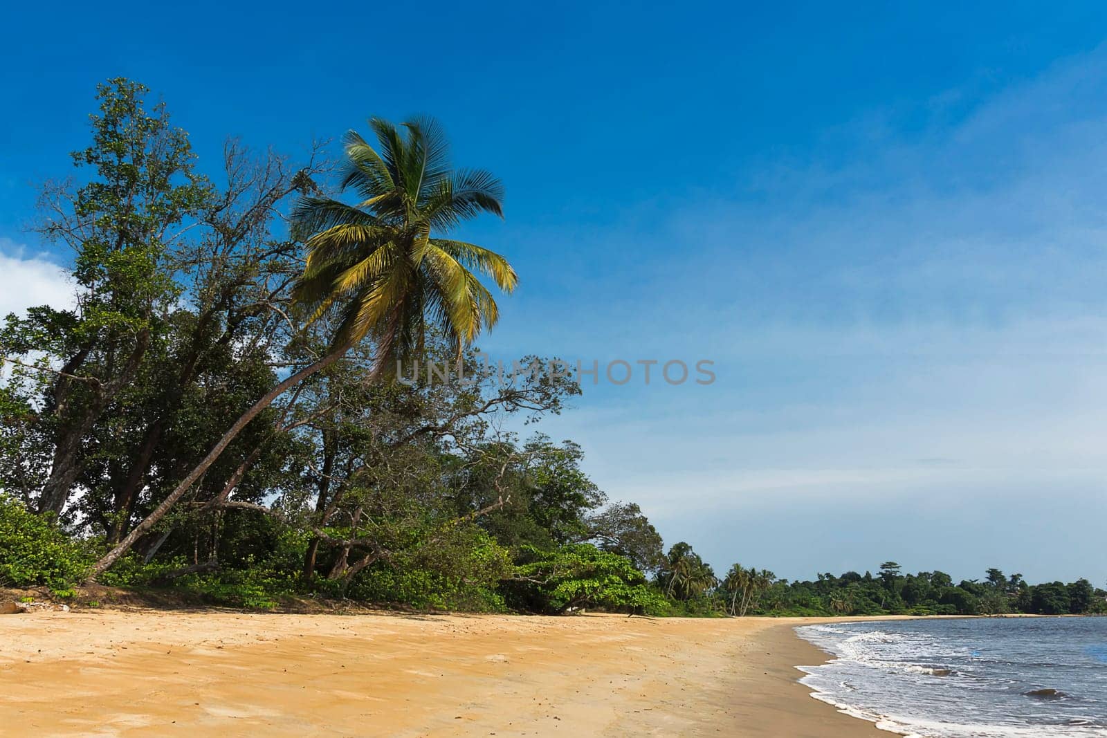 A dream beach