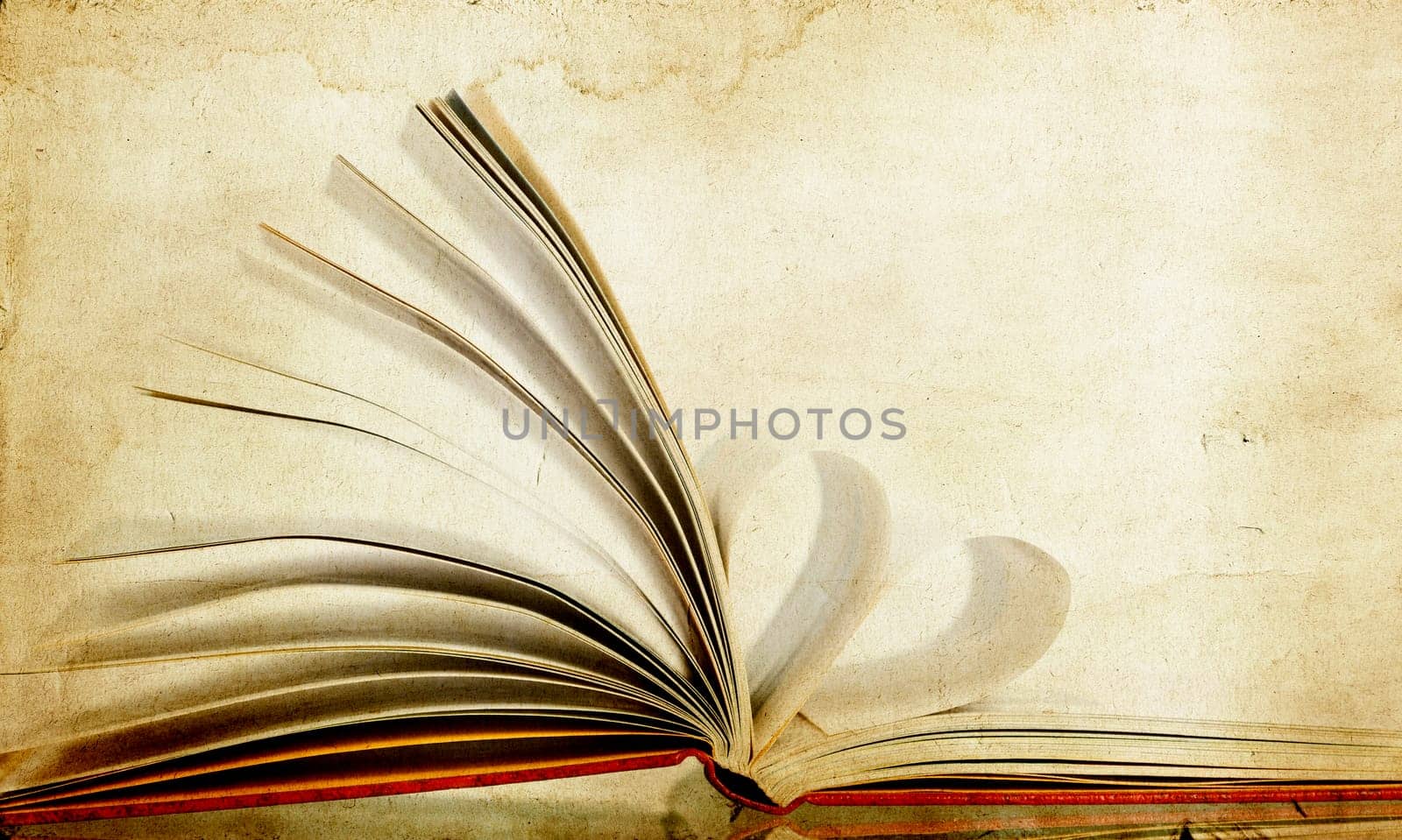 Vintage photo of heart shaped book pages