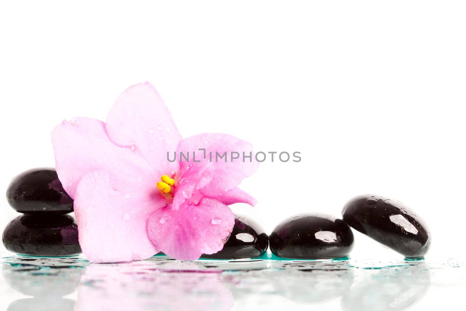 Black spa stones and pink flower on white background