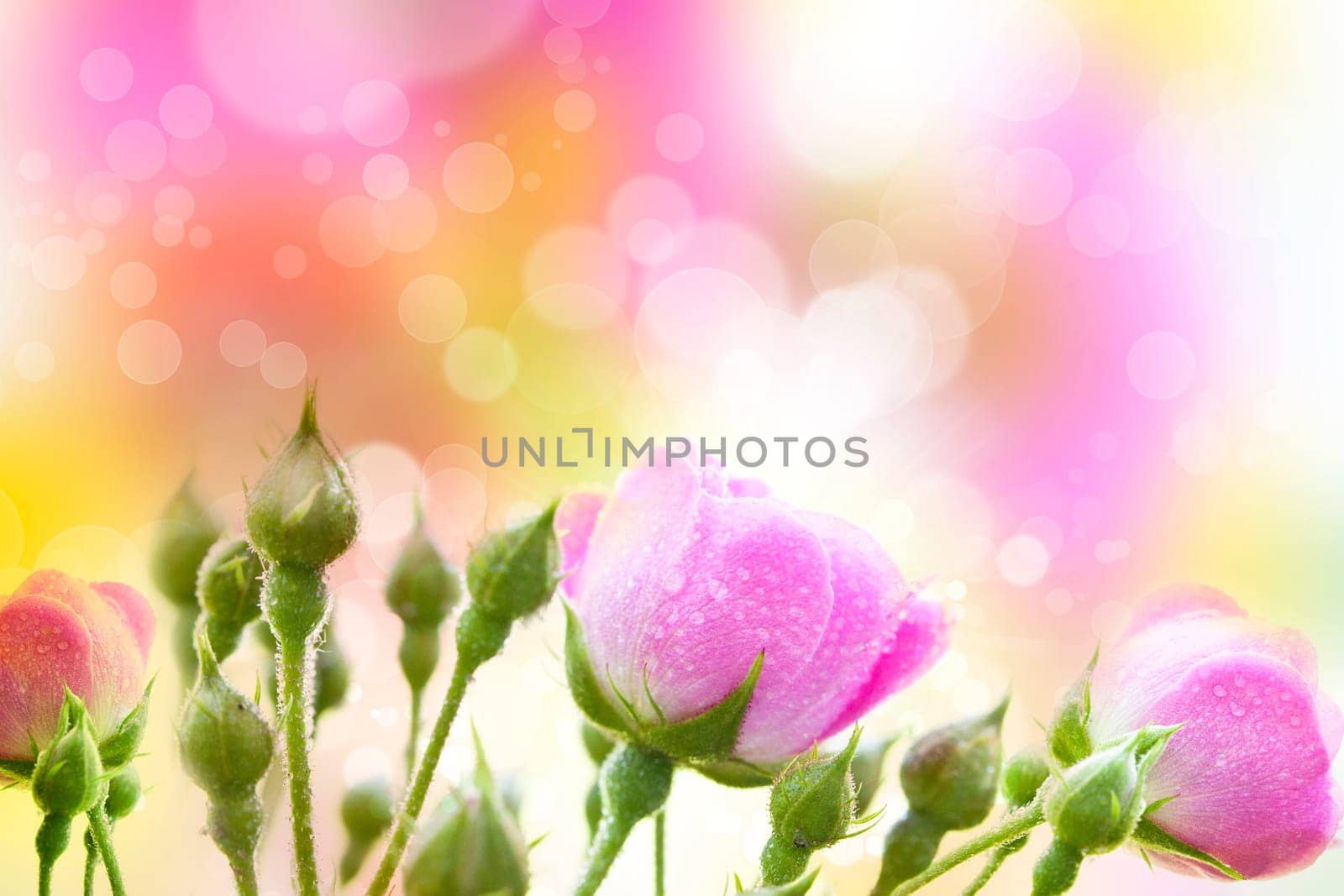 Abstract colorful blurred spring background