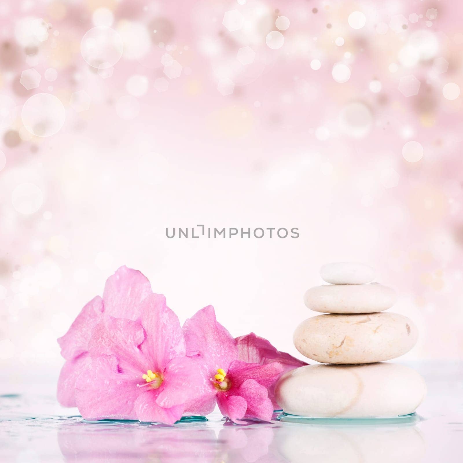 Spa stones and pink flower on abstract pink background
