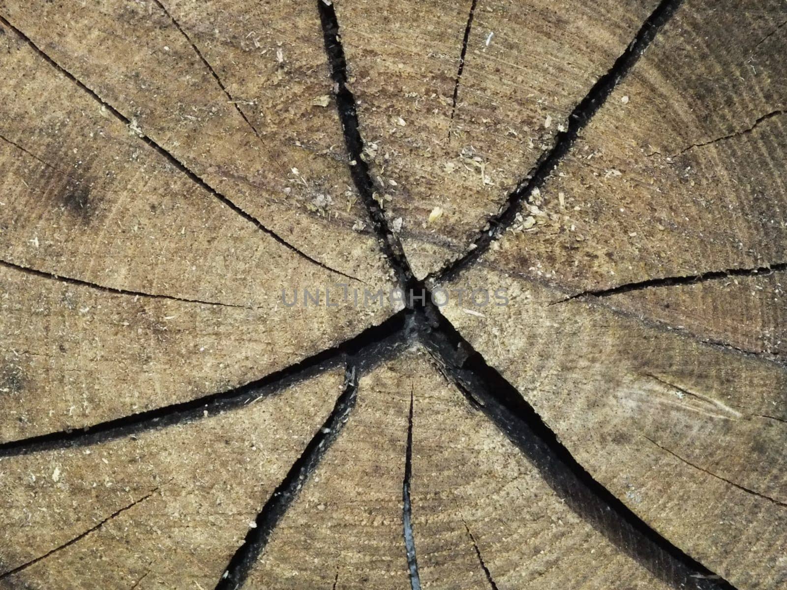 Old wood