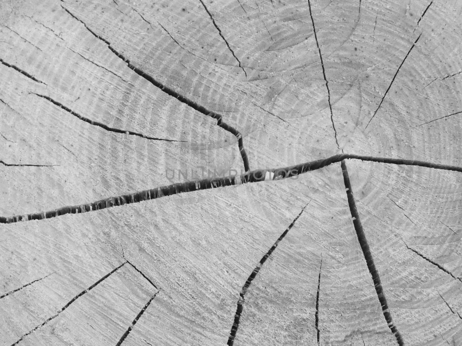 Old wood