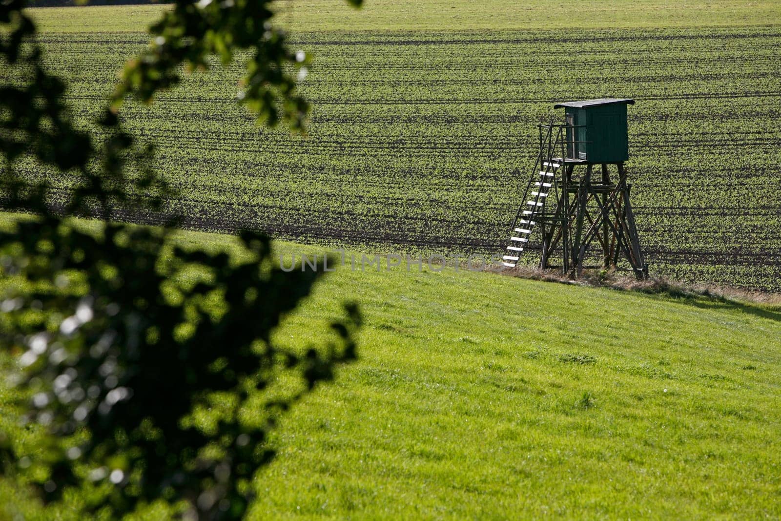 High seat at the edge of the field