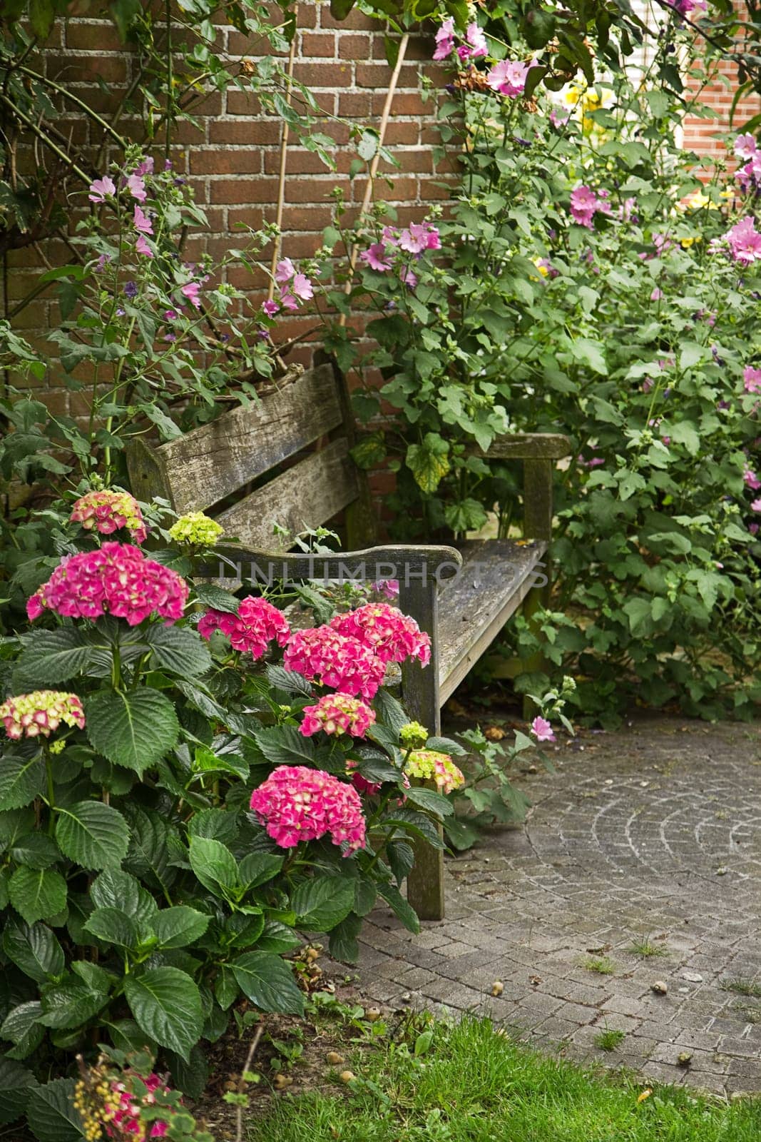 Country-style garden with bench and lots of flowers in summer