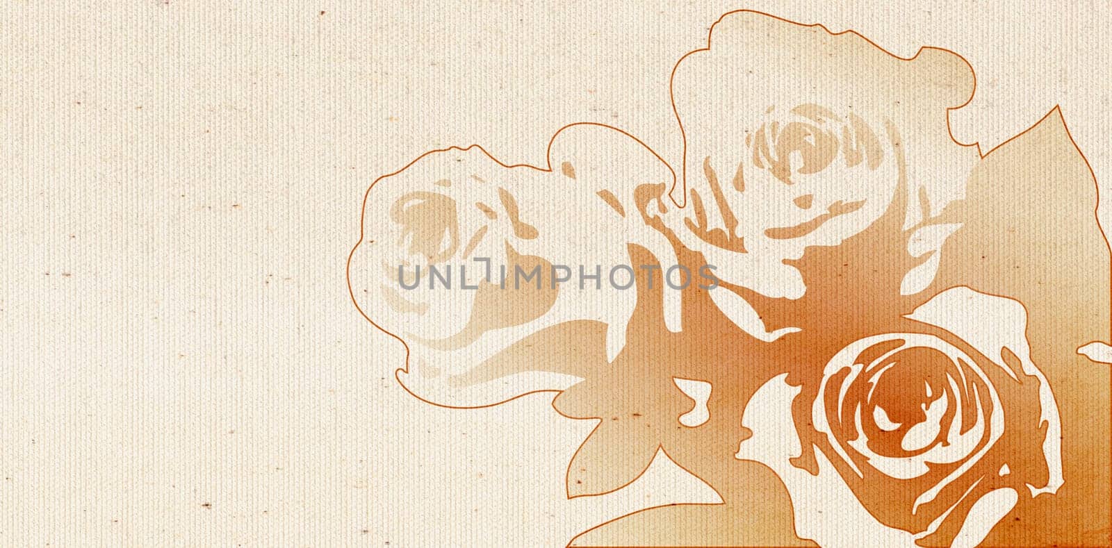 Rose petals on old texture,drawn