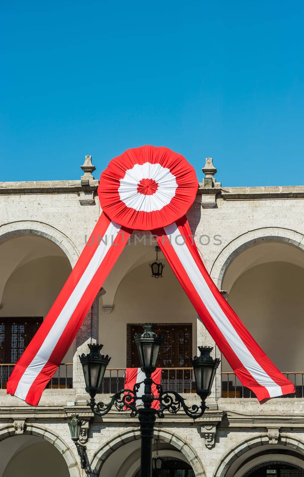 peruvian rosette in the peruvian Andes at Arequipa Peru