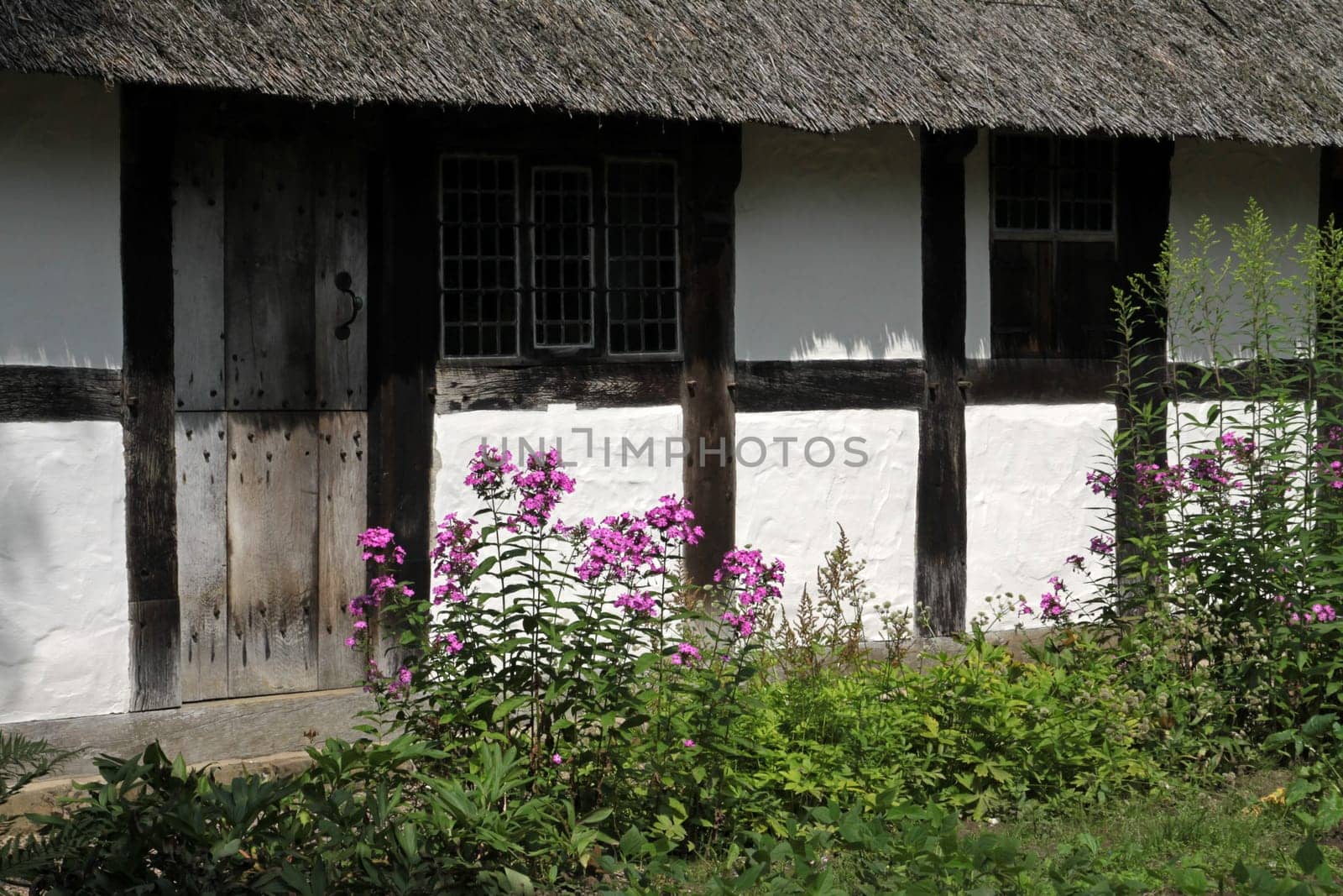 Half-timbered house with garden