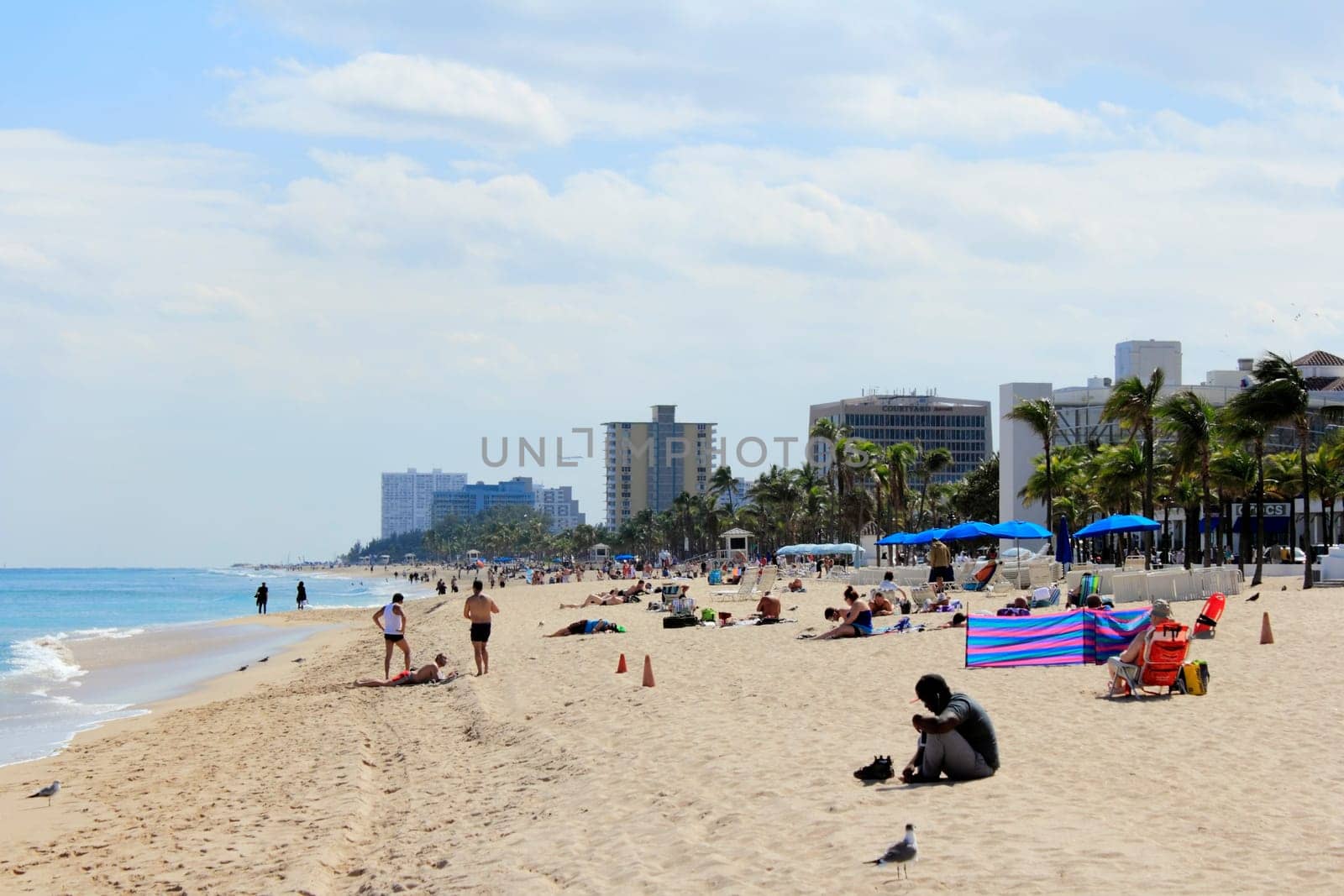 FORT LAUDERDALE, FLORIDA - MARCH 3, 2013: Many people and birds relaxing along the shore of the Atlantic beach near the end of Cortez Street along State Road A1A on a very sunny day in the winter.