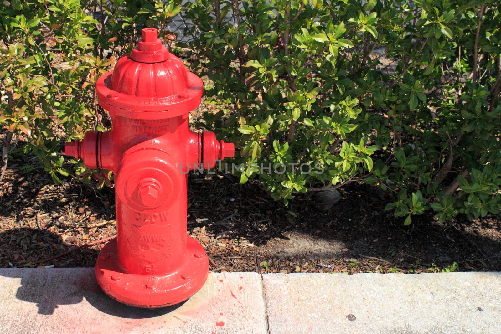 FORT LAUDERDALE, FLORIDA - MARCH 3, 2013: A painted red metal fire hydrant on a public sidewalk in a tropical and sunny urban environment of the city located in Broward county.