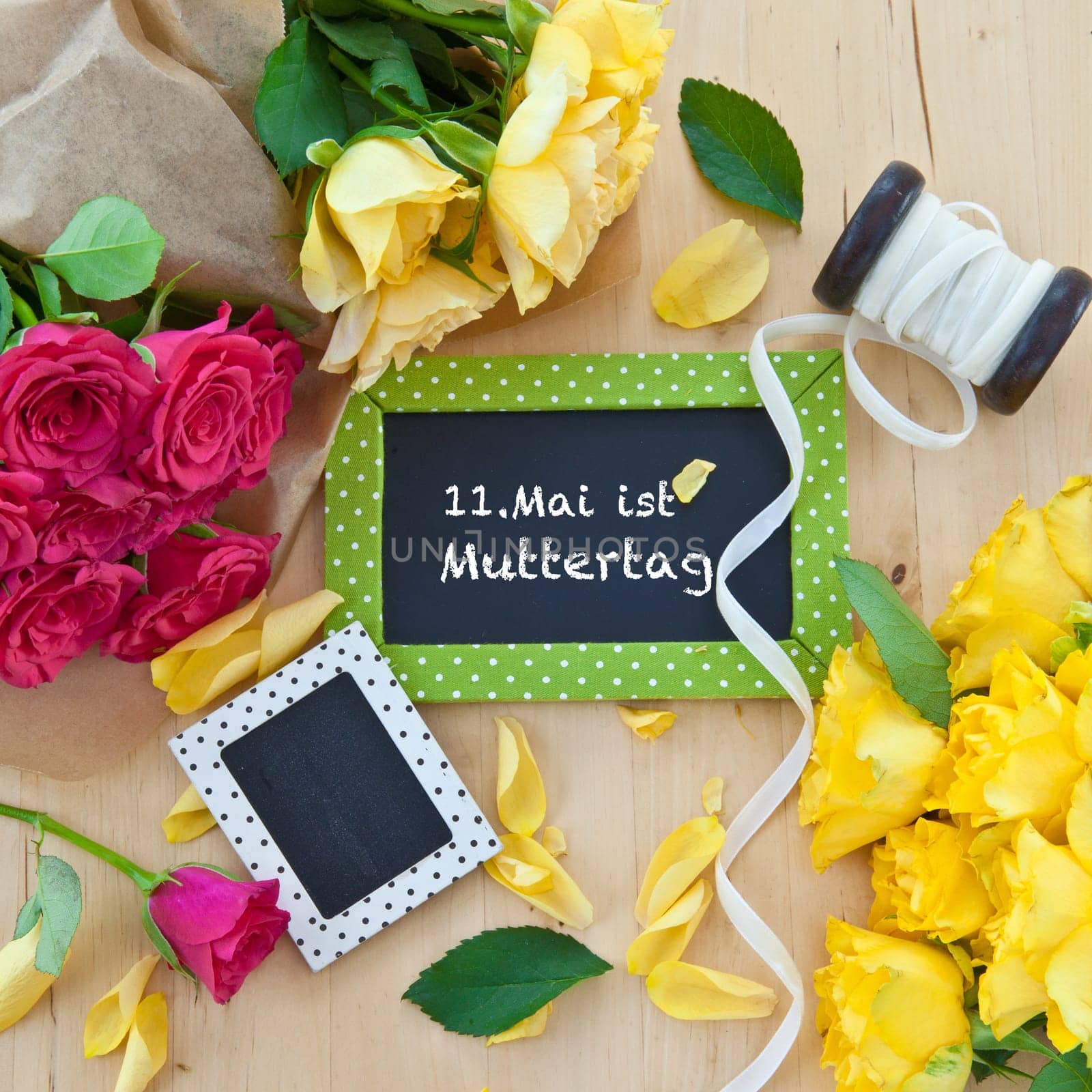 Colorful roses and small panels with free text space