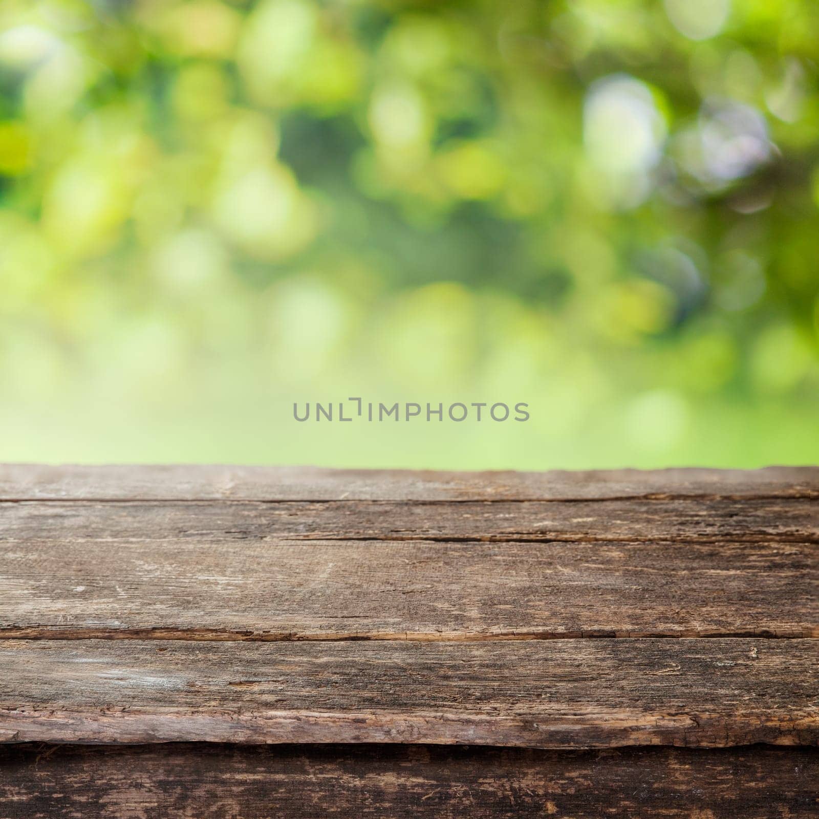Rustic weathered cracked wooden country fence plank or table top against a blurred background of greenery and foliage in summer sun