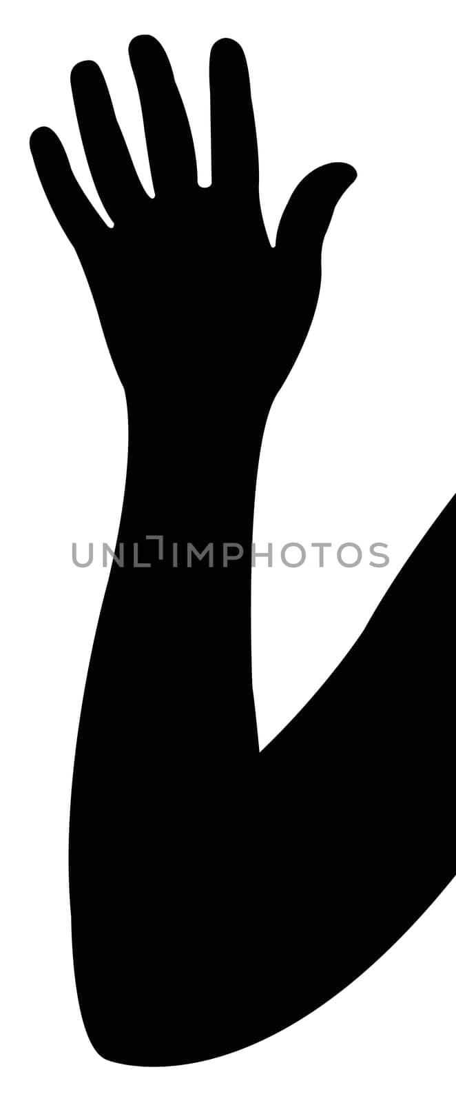 lady hand silhouette vector