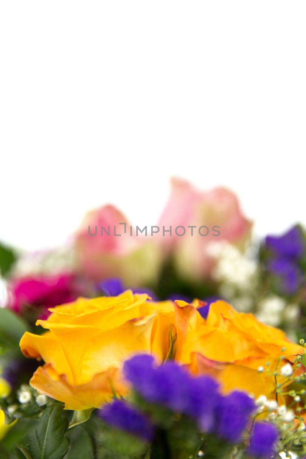Two bouquets of roses,gerberas,statizes,gypsophila and laurel